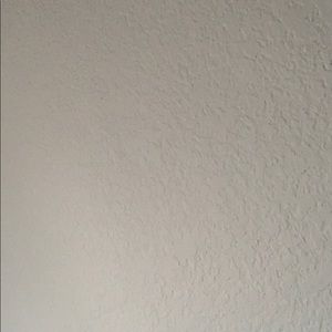 Meet your Posher, Elsa